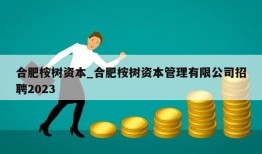 合肥桉树资本_合肥桉树资本管理有限公司招聘2023