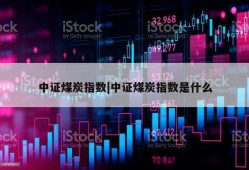 中证煤炭指数|中证煤炭指数是什么