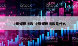 中证煤炭指数|中证煤炭指数是什么