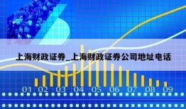 上海财政证券_上海财政证券公司地址电话