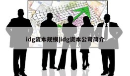 idg资本规模|idg资本公司简介