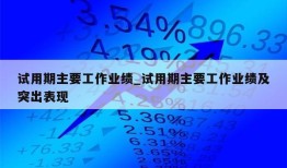 试用期主要工作业绩_试用期主要工作业绩及突出表现