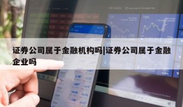 证券公司属于金融机构吗|证券公司属于金融企业吗