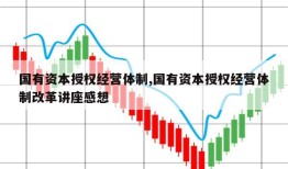 国有资本授权经营体制,国有资本授权经营体制改革讲座感想