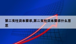 第二支柱资本要求,第二支柱资本要求什么意思