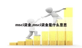 msci资金,msci资金是什么意思