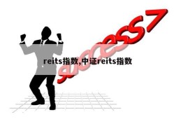 reits指数,中证reits指数