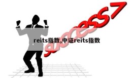 reits指数,中证reits指数