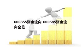 600855资金流向-600585资金流向全览