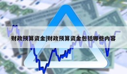 财政预算资金|财政预算资金包括哪些内容