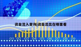 资金流入查询|资金流出在哪里看