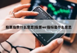 股票指数什么意思|股票wr指标是什么意思