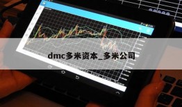 dmc多米资本_多米公司