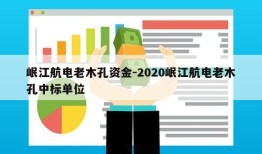 岷江航电老木孔资金-2020岷江航电老木孔中标单位