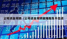 公司资金周转（公司资金周转困难股东不出资）