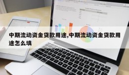 中期流动资金贷款用途,中期流动资金贷款用途怎么填