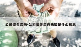 公司资金流向-公司资金流向未知是什么意思