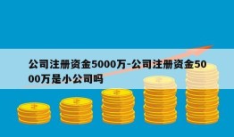 公司注册资金5000万-公司注册资金5000万是小公司吗