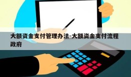 大额资金支付管理办法-大额资金支付流程 政府