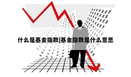 什么是基金指数|基金指数是什么意思