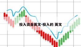 投入资金英文-投入的 英文