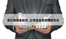 用公司资金投资_公司资金投资理财方式