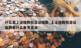 什么是上证指数和深证指数_上证指数和深证指数有什么参考意义