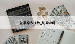 驼梁穿衣指数_驼梁冷吗