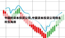 中国的资本投资公司,中国资本投资公司排名欢乐海岸