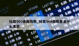 标普500金融指数_标普500指数基金什么意思