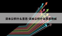 资本公积什么意思-资本公积什么意思理解