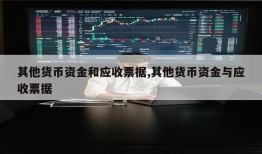 其他货币资金和应收票据,其他货币资金与应收票据