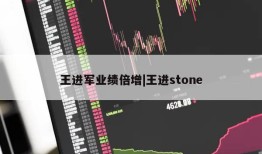 王进军业绩倍增|王进stone