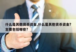 什么是其他货币资金,什么是其他货币资金?主要包括哪些?