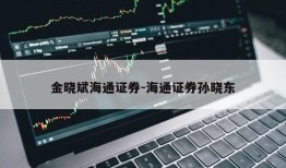 金晓斌海通证券-海通证券孙晓东