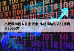 小规模纳税人注册资金-小规模纳税人注册资金1000万