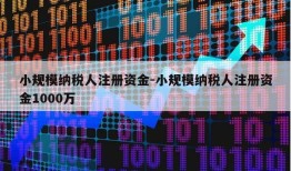 小规模纳税人注册资金-小规模纳税人注册资金1000万