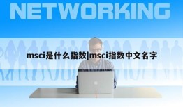 msci是什么指数|msci指数中文名字