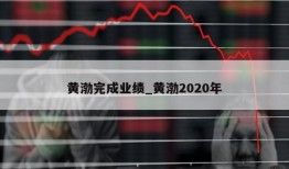 黄渤完成业绩_黄渤2020年