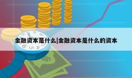 金融资本是什么|金融资本是什么的资本