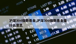 沪深300指数基金,沪深300指数基金是什么意思