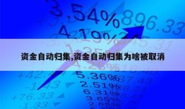 资金自动归集,资金自动归集为啥被取消