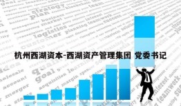 杭州西湖资本-西湖资产管理集团 党委书记