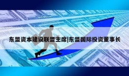 东盟资本建设联盟主席|东盟国际投资董事长