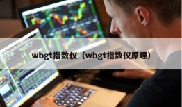 wbgt指数仪（wbgt指数仪原理）