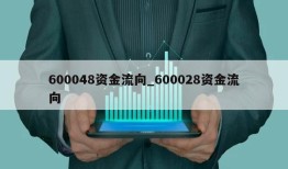 600048资金流向_600028资金流向