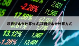 项目资本金计算公式,项目资本金计算方式