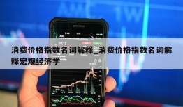 消费价格指数名词解释_消费价格指数名词解释宏观经济学