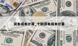 资本成本计算_个别资本成本计算