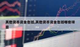 其他货币资金包括,其他货币资金包括哪些项目